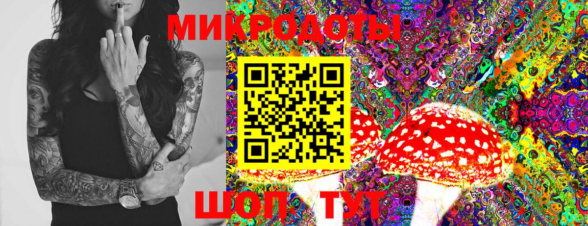 Дмитров  Псилоцибиновые грибы Psilocybine cubensis  Вход с VPN  где можно купить   Галлюциногенные грибы Psilocybe 