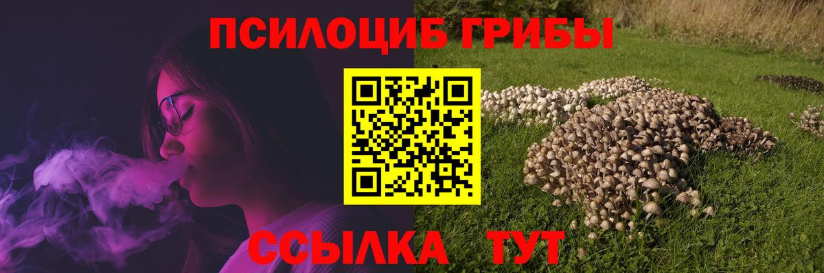 Псилоцибиновые грибы GOLDEN TEACHER Дмитров